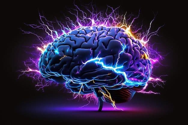About Us Brain Visual